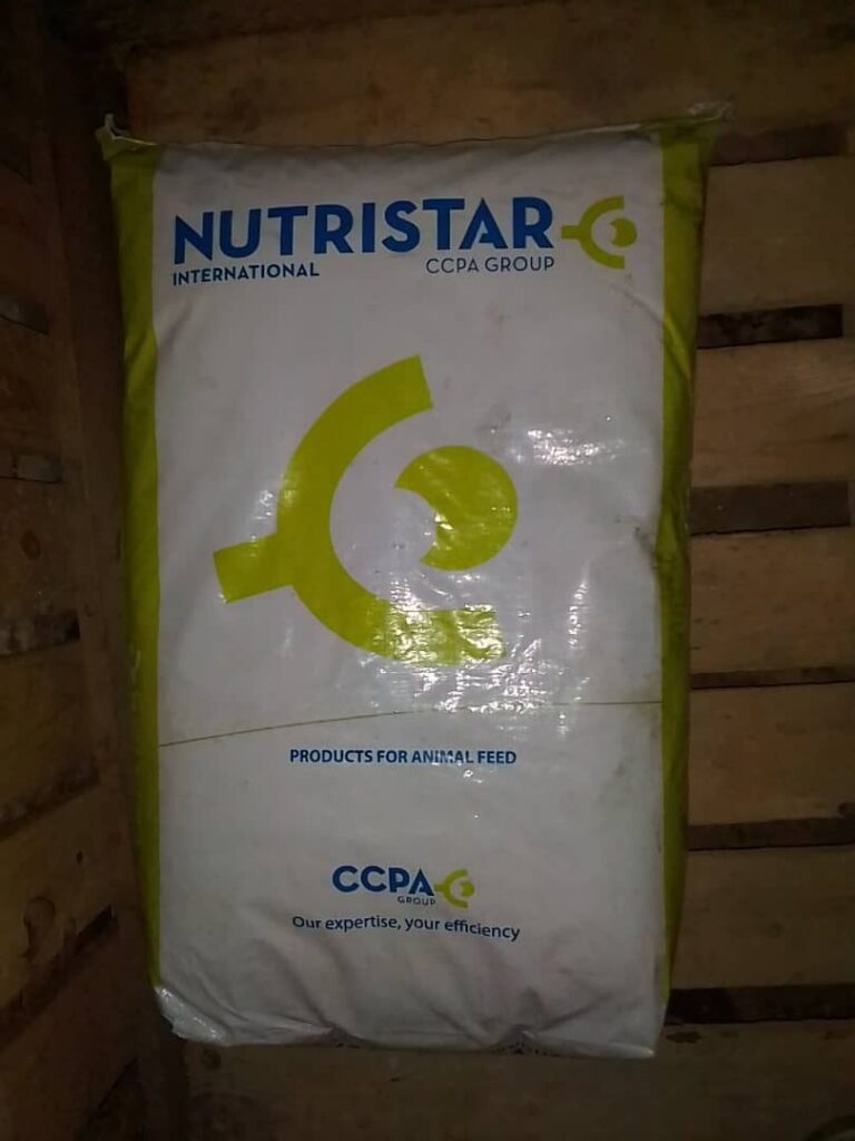 ANCA- aliment pondeuse – 25Kg
