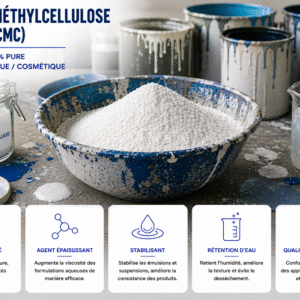 CARBOXYMÉTHYLCELLULOSE SODIQUE (CMC)